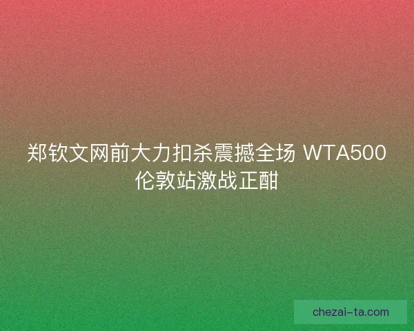 郑钦文网前大力扣杀震撼全场 WTA500伦敦站激战正酣