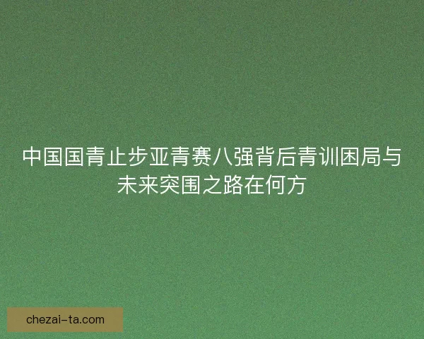 中国国青止步亚青赛八强背后青训困局与未来突围之路在何方